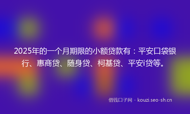 2025年的一个月期限的小额贷款有：平安口袋银行、惠商贷、随身贷、柯基贷、平安i贷等。