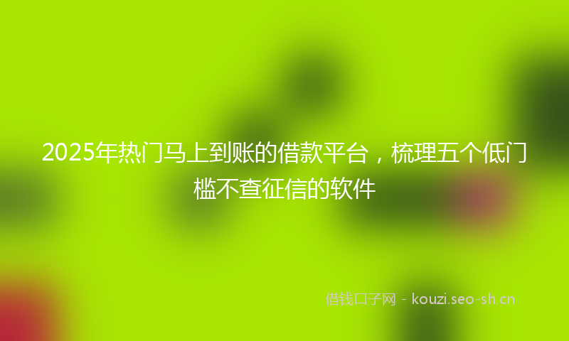 2025年热门马上到账的借款平台，梳理五个低门槛不查征信的软件