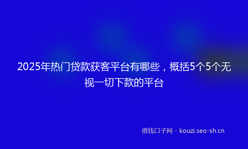 2025年热门贷款获客平台有哪些，概括5个5个无视一切下款的平台