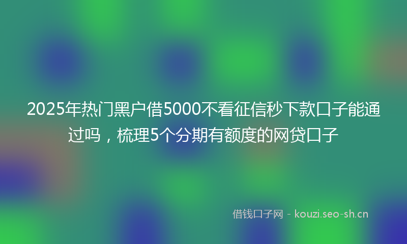 2025年热门黑户借5000不看征信秒下款口子能通过吗，梳理5个分期有额度的网贷口子