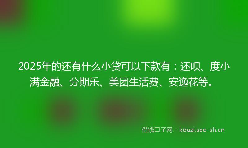 2025年的还有什么小贷可以下款有：还呗、度小满金融、分期乐、美团生活费、安逸花等。