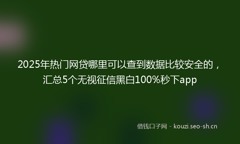 2025年热门网贷哪里可以查到数据比较安全的，汇总5个无视征信黑白100%秒下app