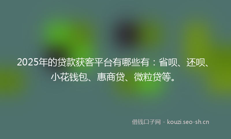 2025年的贷款获客平台有哪些有:省呗、还呗、小花钱包、惠商贷、微粒贷等。