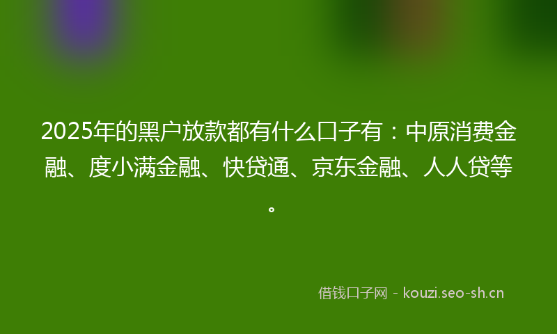 2025年的黑户放款都有什么口子有：中原消费金融、度小满金融、快贷通、京东金融、人人贷等。