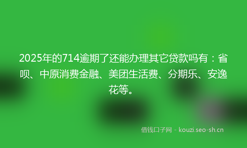 2025年的714逾期了还能办理其它贷款吗有：省呗、中原消费金融、美团生活费、分期乐、安逸花等。