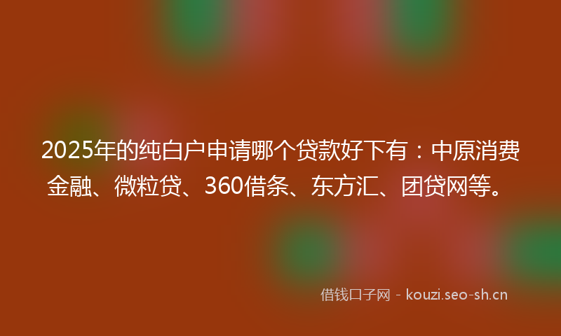 2025年的纯白户申请哪个贷款好下有：中原消费金融、微粒贷、360借条、东方汇、团贷网等。