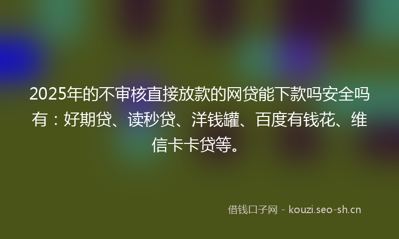 2025年的不审核直接放款的网贷能下款吗安全吗有：好期贷、读秒贷、洋钱罐、百度有钱花、维信卡卡贷等。