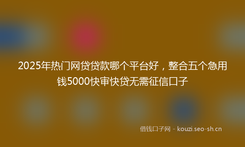 2025年热门网贷贷款哪个平台好，整合五个急用钱5000快审快贷无需征信口子