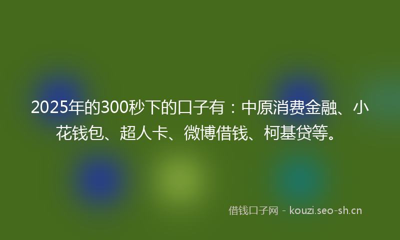 2025年的300秒下的口子有：中原消费金融、小花钱包、超人卡、微博借钱、柯基贷等。