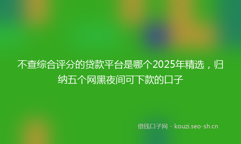 不查综合评分的贷款平台是哪个2025年精选，归纳五个网黑夜间可下款的口子