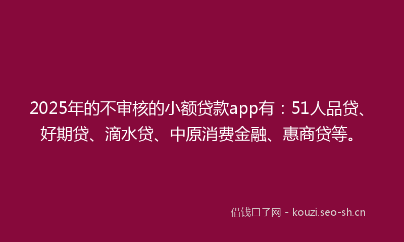 2025年的不审核的小额贷款app有：51人品贷、好期贷、滴水贷、中原消费金融、惠商贷等。