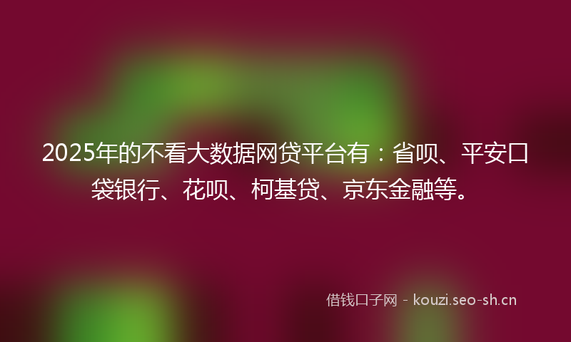 2025年的不看大数据网贷平台有：省呗、平安口袋银行、花呗、柯基贷、京东金融等。