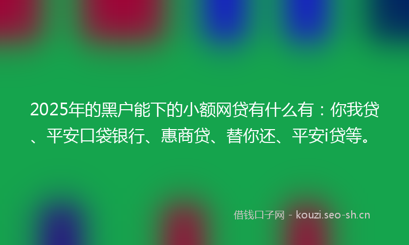 2025年的黑户能下的小额网贷有什么有:你我贷、平安口袋银行、惠商贷、替你还、平安i贷等。