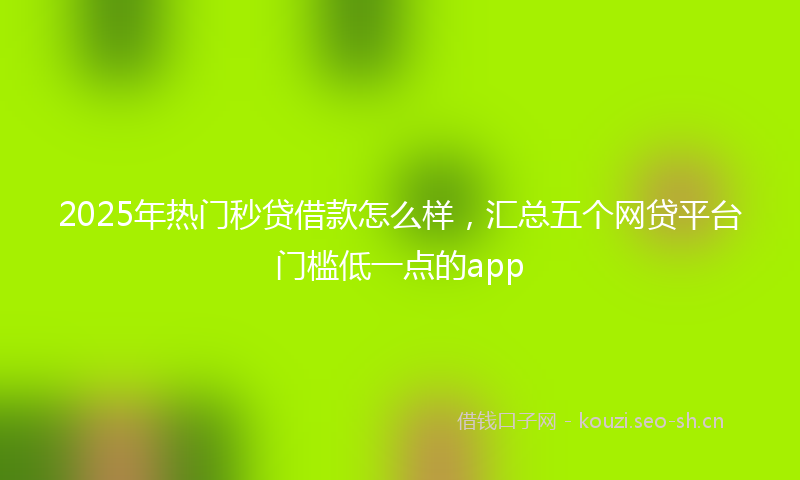 2025年热门秒贷借款怎么样，汇总五个网贷平台门槛低一点的app