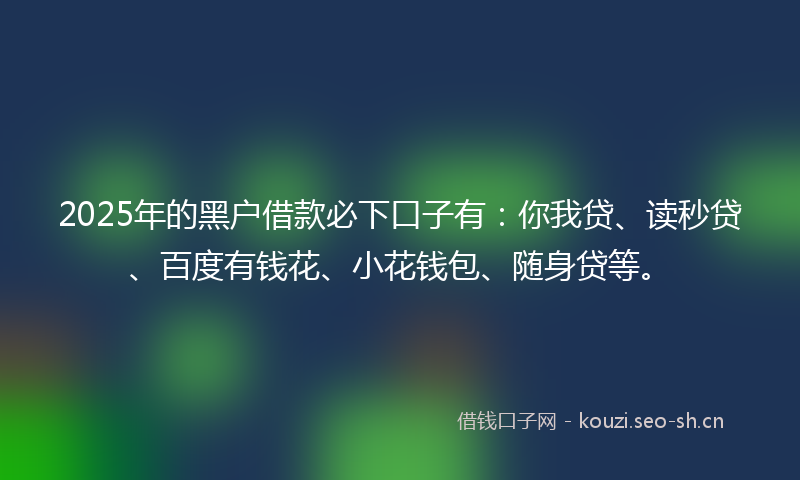 2025年的黑户借款必下口子有:你我贷、读秒贷、百度有钱花、小花钱包、随身贷等。