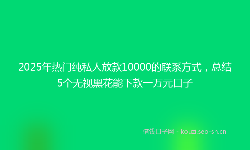 2025年热门纯私人放款10000的联系方式，总结5个无视黑花能下款一万元口子