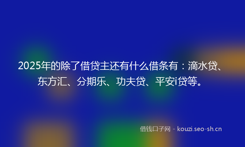 2025年的除了借贷主还有什么借条有：滴水贷、东方汇、分期乐、功夫贷、平安i贷等。