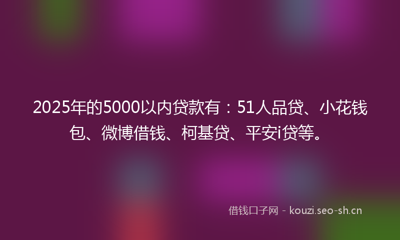 2025年的5000以内贷款有：51人品贷、小花钱包、微博借钱、柯基贷、平安i贷等。
