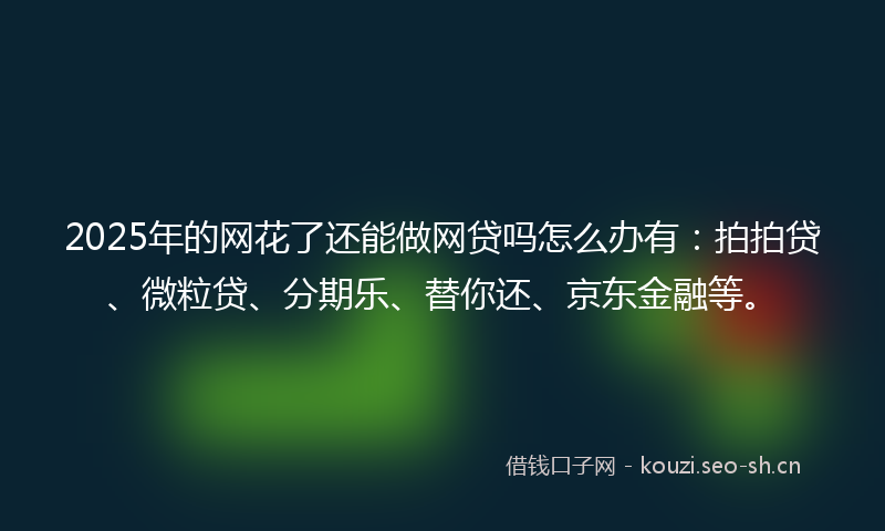 2025年的网花了还能做网贷吗怎么办有：拍拍贷、微粒贷、分期乐、替你还、京东金融等。