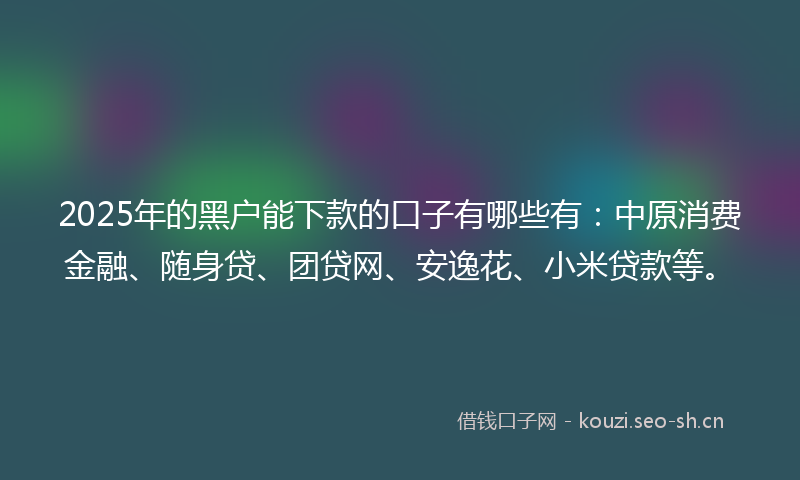 2025年的黑户能下款的口子有哪些有：中原消费金融、随身贷、团贷网、安逸花、小米贷款等。