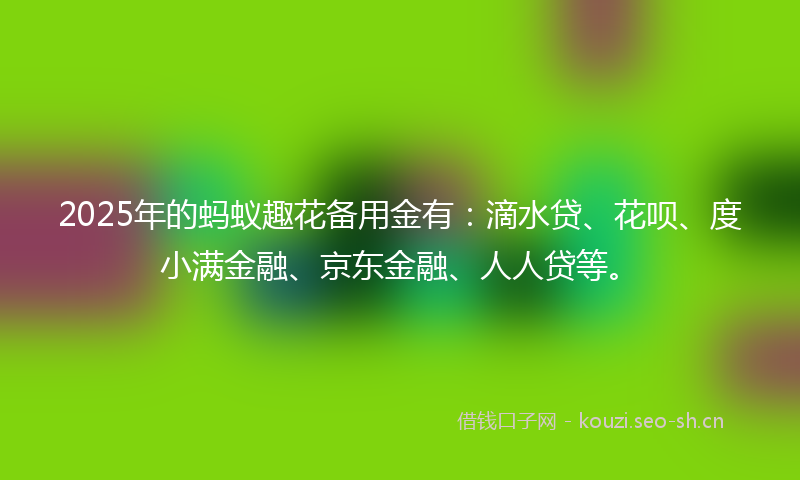 2025年的蚂蚁趣花备用金有：滴水贷、花呗、度小满金融、京东金融、人人贷等。