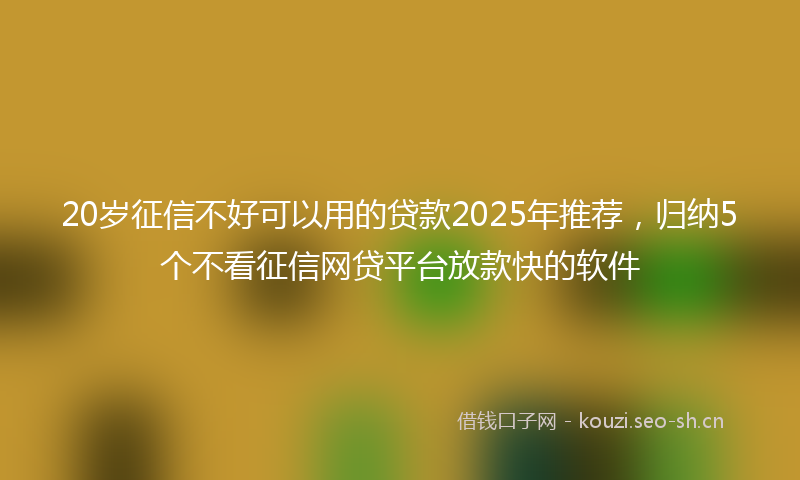 20岁征信不好可以用的贷款2025年推荐，归纳5个不看征信网贷平台放款快的软件