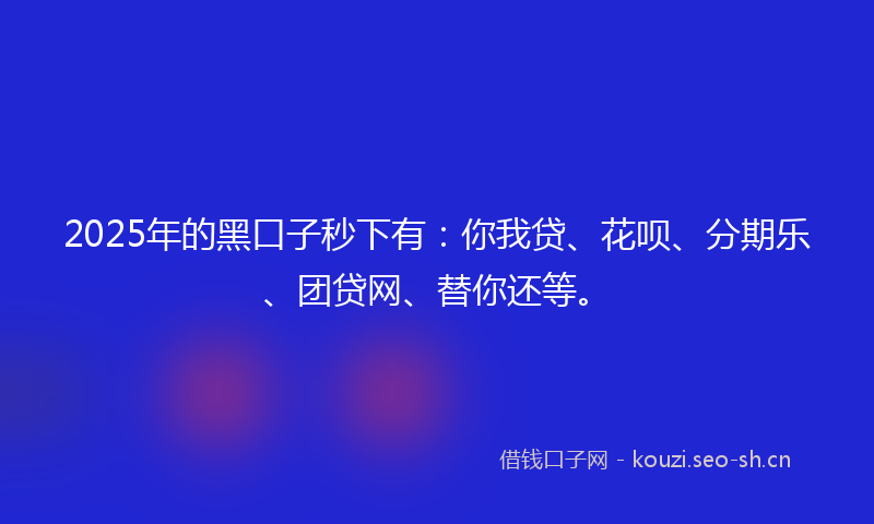 2025年的黑口子秒下有：你我贷、花呗、分期乐、团贷网、替你还等。