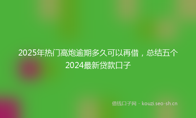 2025年热门高炮逾期多久可以再借，总结五个2024最新贷款口子