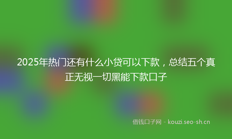 2025年热门还有什么小贷可以下款，总结五个真正无视一切黑能下款口子