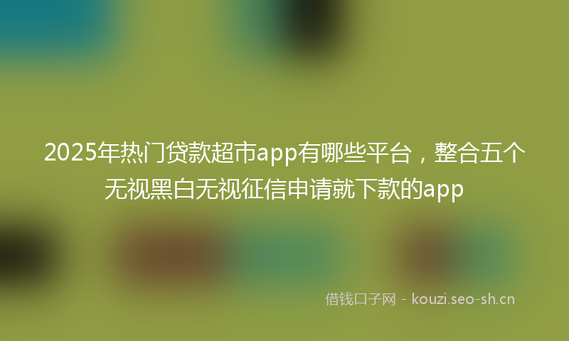 2025年热门贷款超市app有哪些平台，整合五个无视黑白无视征信申请就下款的app
