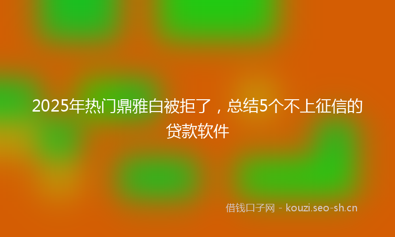 2025年热门鼎雅白被拒了，总结5个不上征信的贷款软件