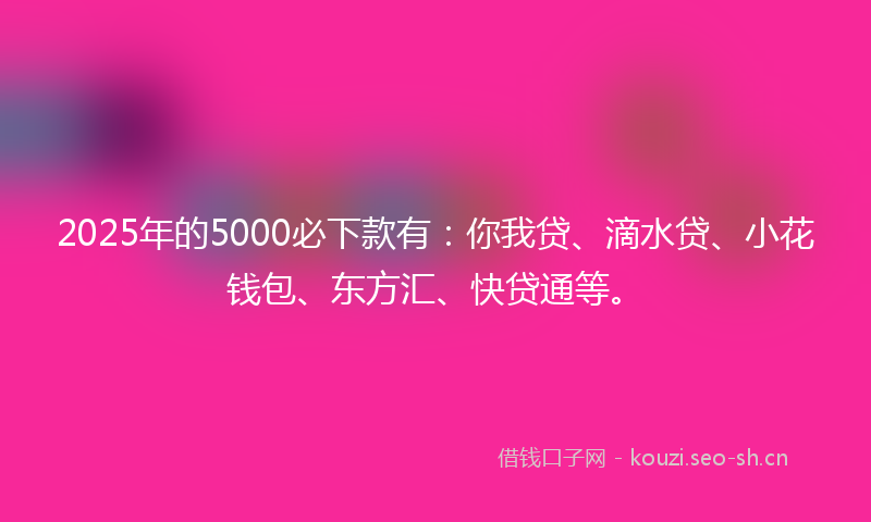 2025年的5000必下款有：你我贷、滴水贷、小花钱包、东方汇、快贷通等。