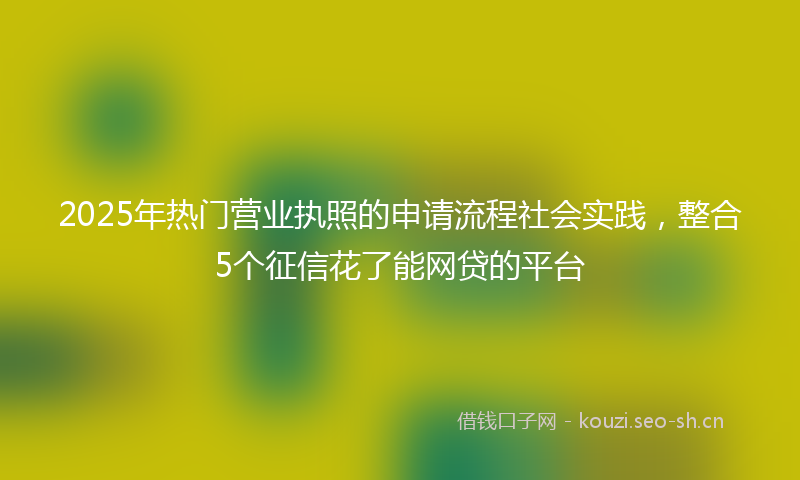 2025年热门营业执照的申请流程社会实践，整合5个征信花了能网贷的平台
