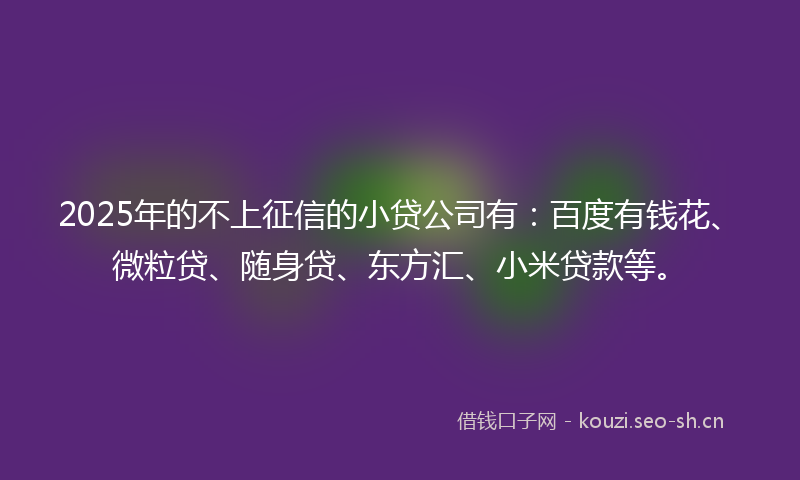 2025年的不上征信的小贷公司有：百度有钱花、微粒贷、随身贷、东方汇、小米贷款等。