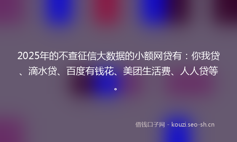 2025年的不查征信大数据的小额网贷有：你我贷、滴水贷、百度有钱花、美团生活费、人人贷等。