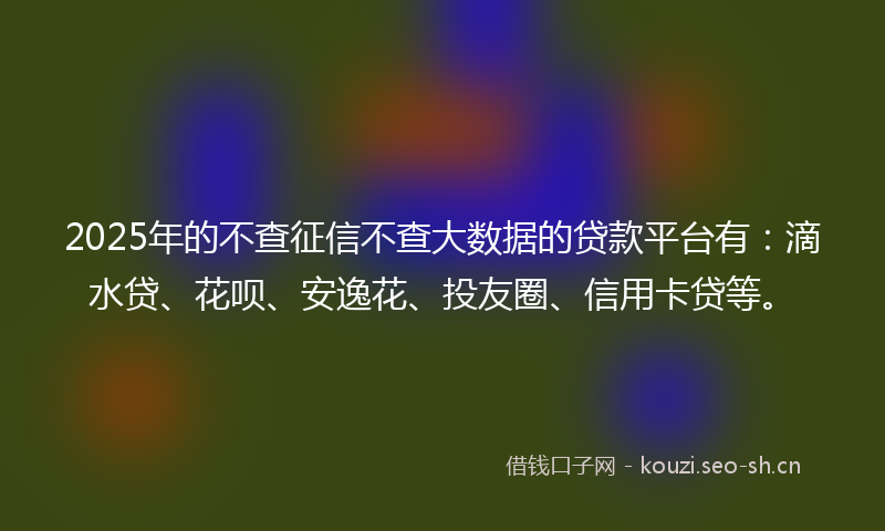 2025年的不查征信不查大数据的贷款平台有：滴水贷、花呗、安逸花、投友圈、信用卡贷等。