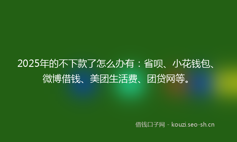 2025年的不下款了怎么办有：省呗、小花钱包、微博借钱、美团生活费、团贷网等。