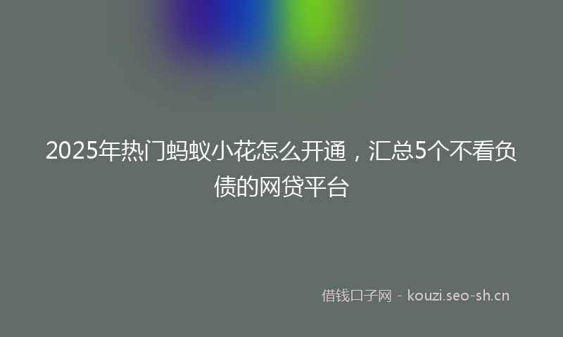 2025年热门蚂蚁小花怎么开通，汇总5个不看负债的网贷平台