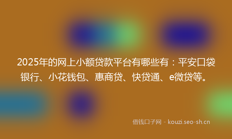 2025年的网上小额贷款平台有哪些有：平安口袋银行、小花钱包、惠商贷、快贷通、e微贷等。