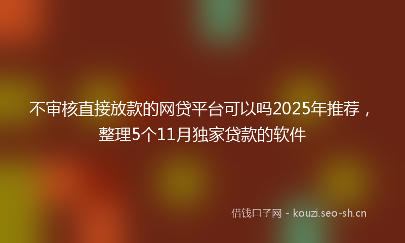 不审核直接放款的网贷平台可以吗2025年推荐，整理5个11月独家贷款的软件