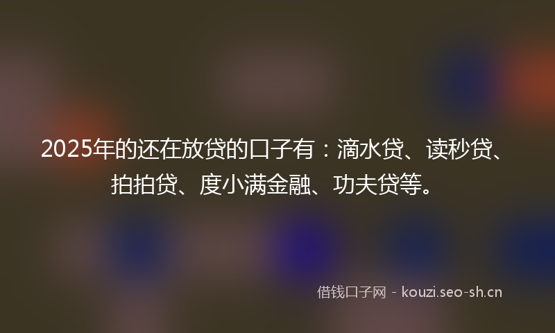 2025年的还在放贷的口子有：滴水贷、读秒贷、拍拍贷、度小满金融、功夫贷等。