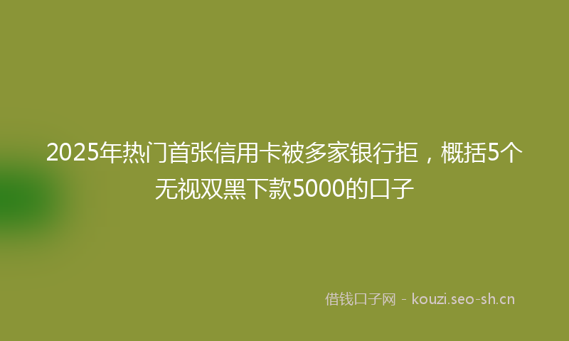 2025年热门首张信用卡被多家银行拒，概括5个无视双黑下款5000的口子