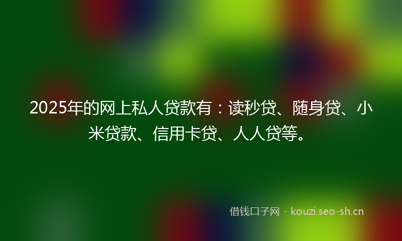 2025年的网上私人贷款有：读秒贷、随身贷、小米贷款、信用卡贷、人人贷等。
