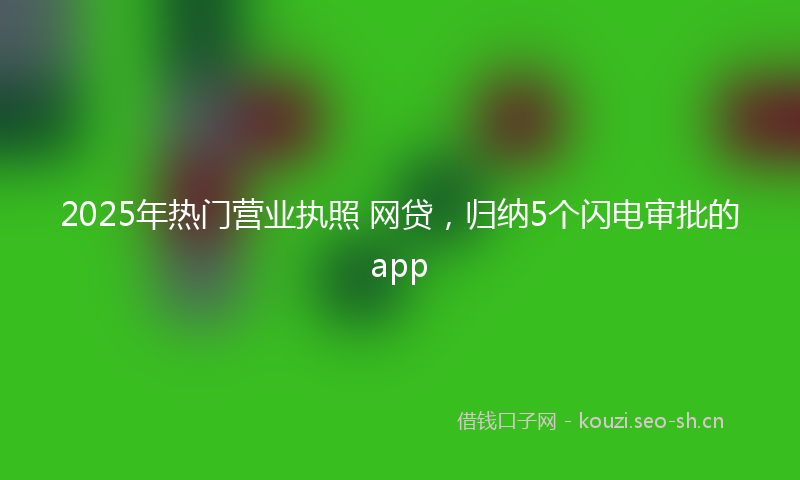 2025年热门营业执照 网贷，归纳5个闪电审批的app