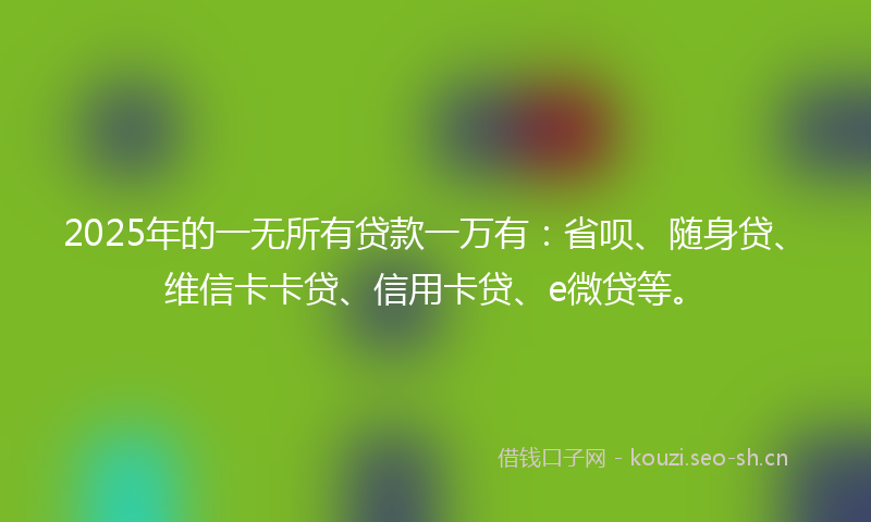 2025年的一无所有贷款一万有：省呗、随身贷、维信卡卡贷、信用卡贷、e微贷等。