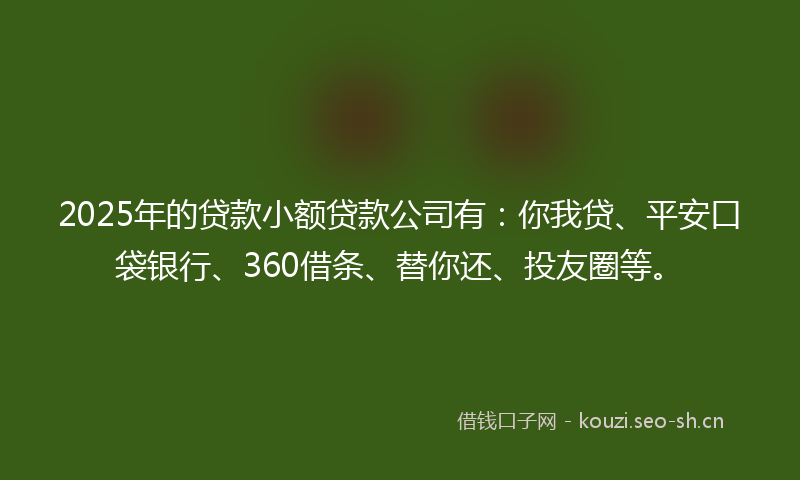 2025年的贷款小额贷款公司有：你我贷、平安口袋银行、360借条、替你还、投友圈等。