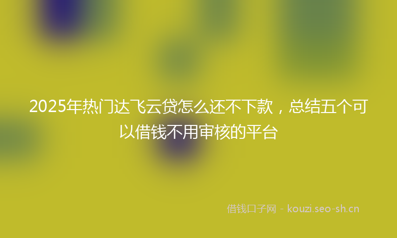 2025年热门达飞云贷怎么还不下款，总结五个可以借钱不用审核的平台