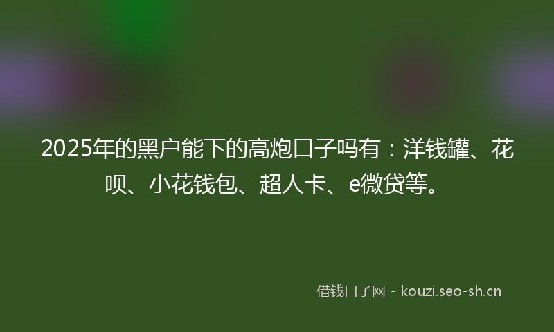 2025年的黑户能下的高炮口子吗有：洋钱罐、花呗、小花钱包、超人卡、e微贷等。