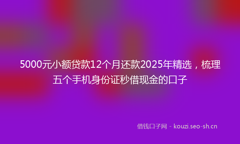 5000元小额贷款12个月还款2025年精选,梳理五个手机身份证秒借现金的口子