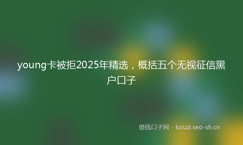 young卡被拒2025年精选，概括五个无视征信黑户口子